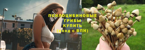 дмт Алзамай