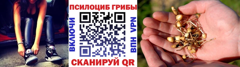 Галлюциногенные грибы Magic Shrooms  закладки  Азнакаево 